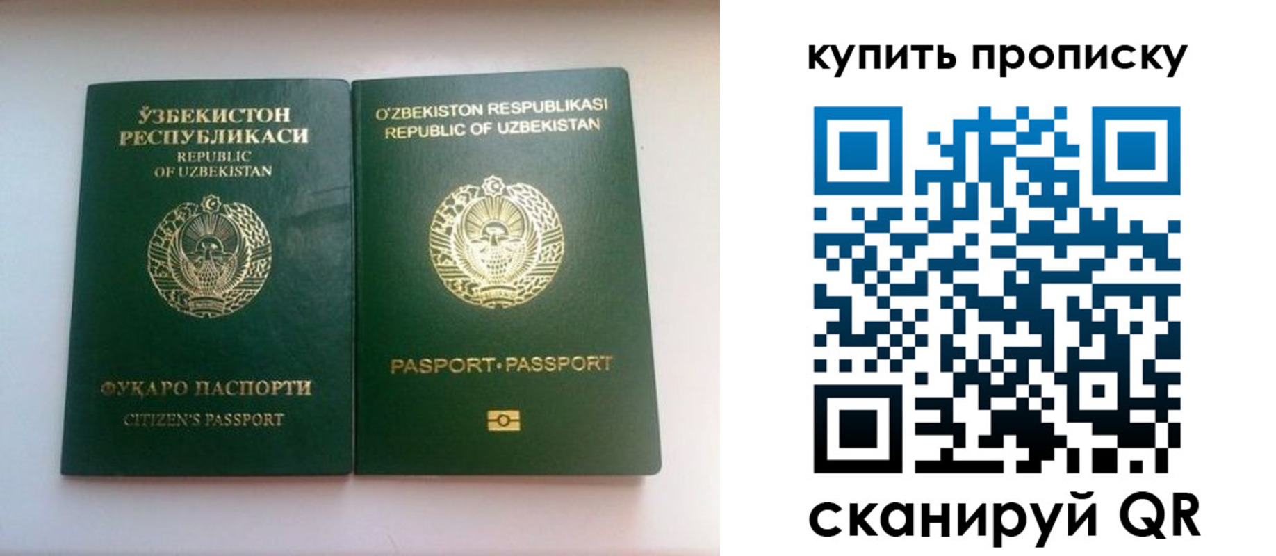 прописка в квартире в Истре